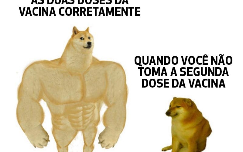 ESQUEMA VACINAL DEVE SER COMPLETO PARA SER TOTALMENTE IMUNIZADO